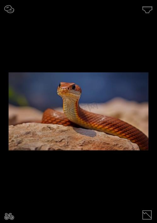 mhshzle's tweet photo. 🎏Have faith in your life's own rhythm. Before you sleep, note down one small joyful instant, and keep gentle optimism alive during monotonous days. Avoid pointless comparisons, and each genuine step forward brings delightful, unforeseen gifts into your everyday life. https://t.co/ZFXD5N1Ity