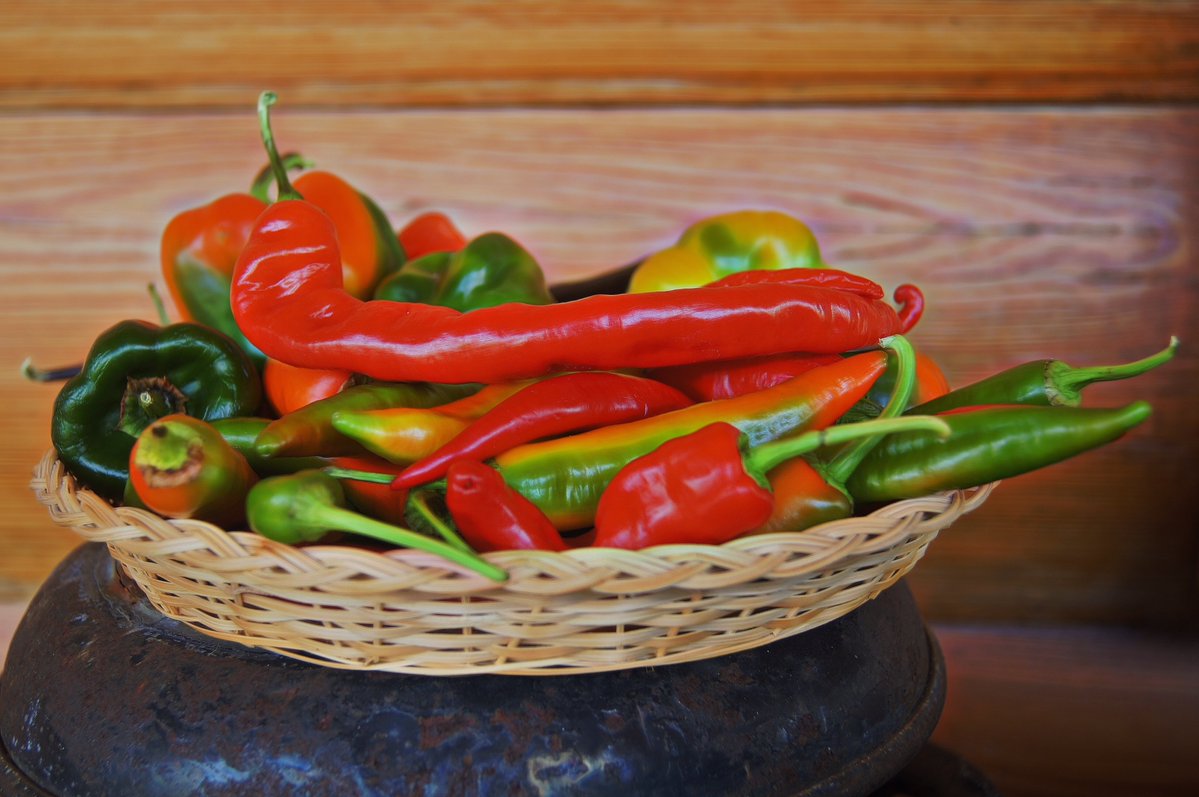 sdcountydpw's tweet photo. Grow a salsa garden this fall! 🍅
Join these FREE virtual workshops to learn edible gardening and pest management skills.
🗓️ Sept. 26, Oct. 10, Oct. 17, Oct 24, and Nov. 7
Register here: https://t.co/G5VbMAyOhm 
#ucanr #HealthyGardenHealthyHome #countyofsandiego https://t.co/LP1WhoksGY