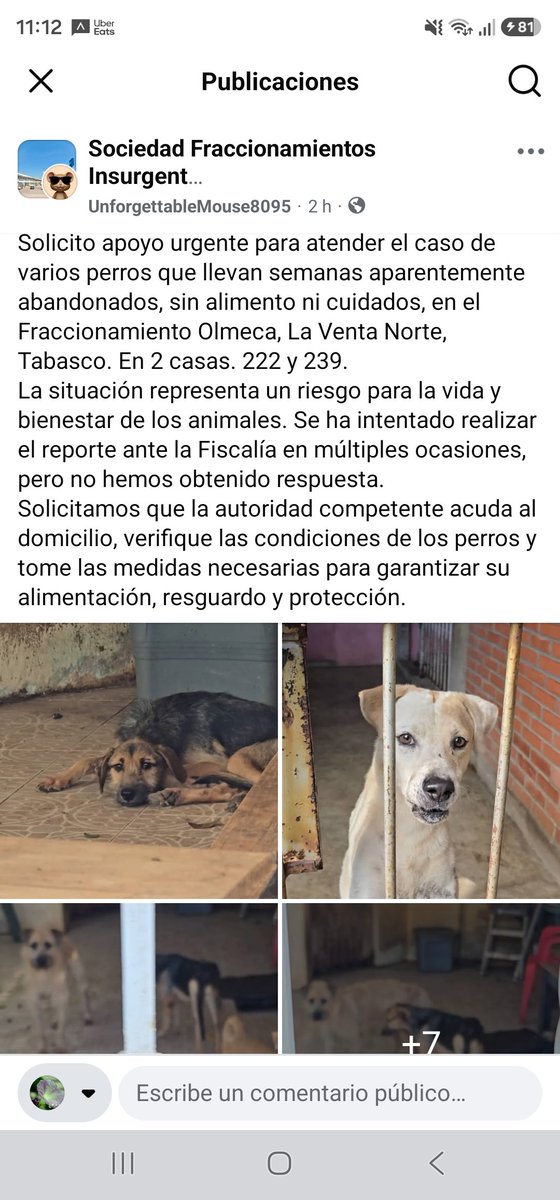 magulas's tweet photo. @GobCentro
@FGETabasco
#Urgente
Falta prolongada de #alimento y #agua
#SeresSintientes
#Animales
#Perros
#Vulnerables https://t.co/6CiCBjPOIK