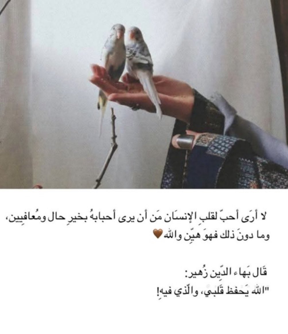 nore_mtt's tweet photo. https://t.co/nmwIFi6IMI