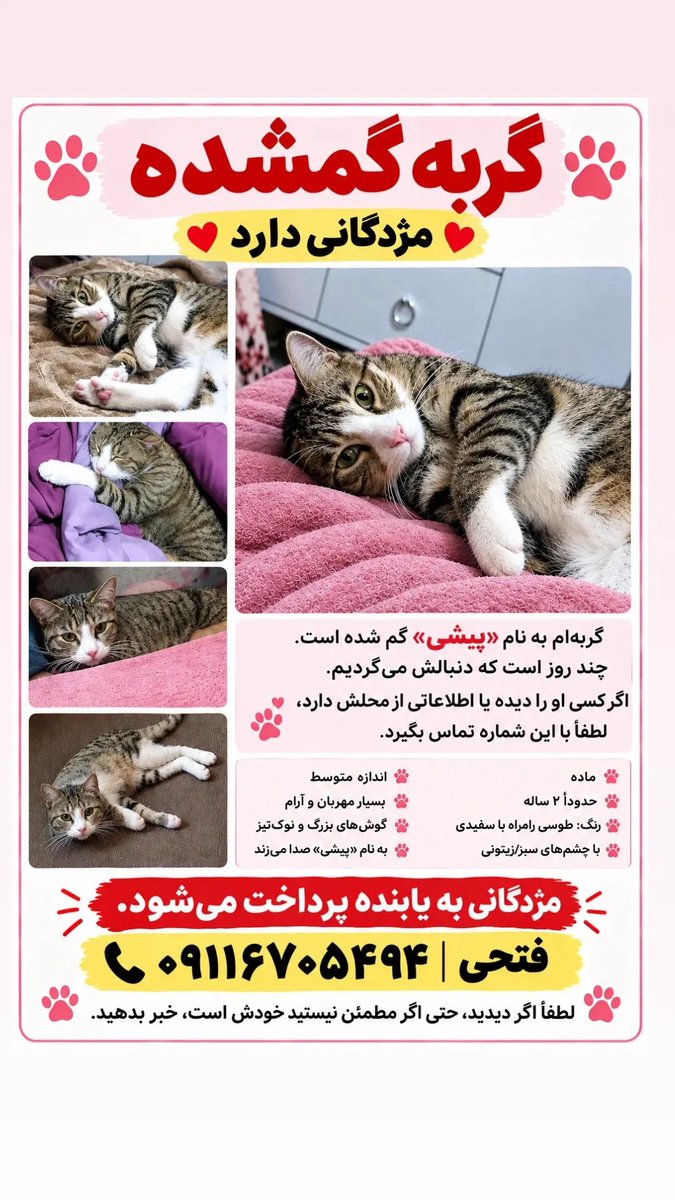 pet__koo's tweet photo. ساده نگذریم…🫆 https://t.co/ZvfroHDsN3