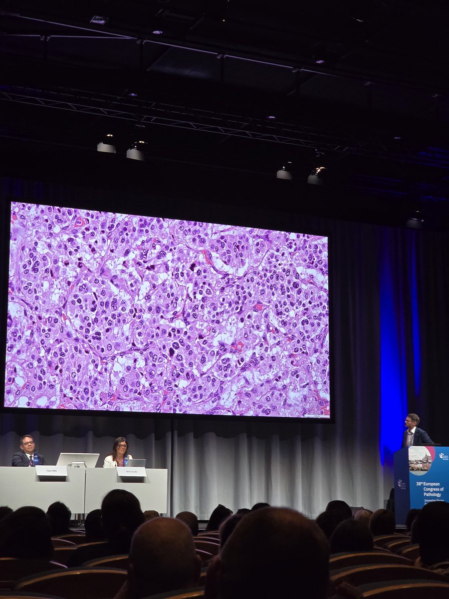 MolesSilvia's tweet photo. Some challenging (and very beautiful) endocrine cases at #ESPCongress Learning from the best! https://t.co/1QlbeGHTKc