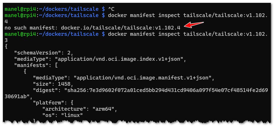 manelrodero's tweet photo. Hi @Tailscale,

Why isn't image tailscale/tailscale:v1.102.4 in the registry yet?

It’s already been four days since it appeared on GitHub.

Thanks. https://t.co/6Ft7JHfuuv