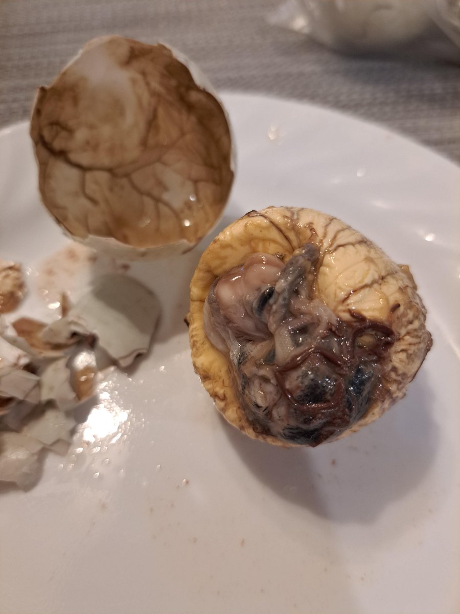 kitchen_chud's tweet photo. My soulmate was aborted by the Chudemiurge so I will never find a girlfriend. Now I slurp duck embryos to rid duckcels of their soulducks, so that they may experience the depths of my suffering.

balut #filipino https://t.co/ER2Z2pDynA
