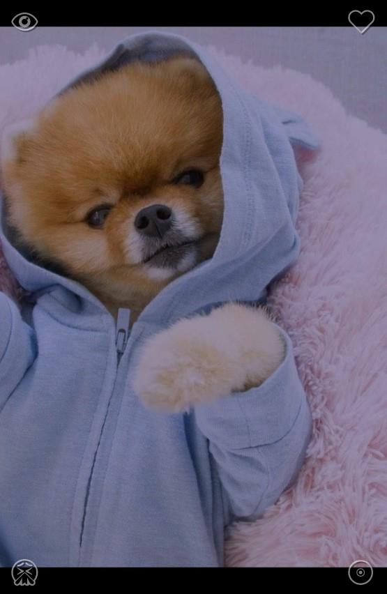bhotackoi's tweet photo. At daybreak, tidy your workspace to dispel cluttered thinking, hold steady for progress that isn't yet visible, and pay no mind to fast, hollow victories. Delightful, deserved prizes will blossom exactly when the moment is right, arranged specially for you.🤥A cozy fur throw res https://t.co/LVMr8afTMk