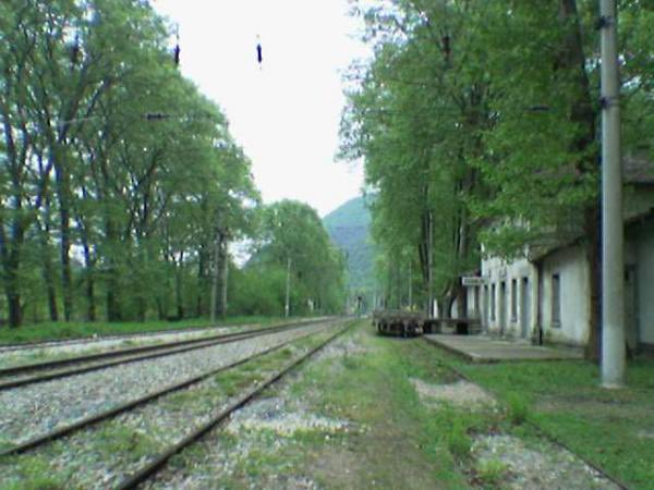SimurgArt's tweet photo. Sevgili Oruç Aruoba, iyi ki bu günleri görmedin. Sakarya’nın Geyve ilçesine bağlı Doğançay mahallesinde (eski tren istasyonu çevresi ve yol kenarı) mahallenin simgesi haline gelmiş tarihi çınarların tamamı 2026 Mart’ta kesildiler. 
Bu çınarlar aynı zamanda Oruç Aruoba’nın Doğançay’ın Çınarları kitabına da ilham vermişti; istasyon metruk hale gelmiş olsa da ağaçlar uzun süre bölgenin karakterini oluşturuyordu.
Türkiye’de çınarlarda yaygın görülen “Ceratocystis platani mantarı” ve benzeri hastalıklar ciddi boyutta. Oruç Aruoba anısına o bölgeye bizde çınar fidanları dikmeyi planlıyoruz. #doğançayçınarları #oruçaruoba #doğa