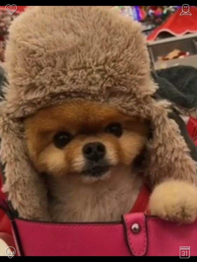 ilaydadurtas's tweet photo. When you fail, a flexible mindset immediately revises your approach; stubborn, unyielding thinking leads to repeating the same errors, whereas mental agility opens up creative paths to lasting, reliable achievement.👵Snow cleaning Shovel, works https://t.co/GjJCLoL6a9