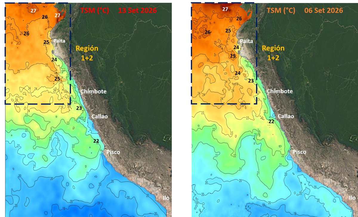Mario___Ramirez's tweet photo. 14/09/26 #ElNiño Costero #Región1+2
Pacífico ecuatorial oriental #TSM #ATSM
- Magnitud: #Extraordinario
#CRW +4.91°C #OISST +4.77°C
#Calentamiento progresivo incremento
se mantiene.
#ElNiño costero 2026-27 es superior
a sus eventos analogos https://t.co/S8NAr5tQXl