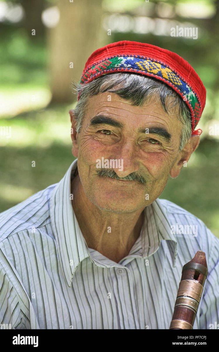 Turkjeet's tweet photo. @realillyrian668 @GoldenSaka The blond blue eyed scythian men in question https://t.co/oTfdLWmLVv
