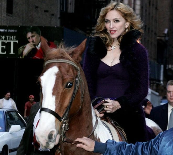 MadameXvideos's tweet photo. Madonna serving face and getting back on a horse for the first time after injury on David Letterman (2005) https://t.co/BUgXgBIMDO