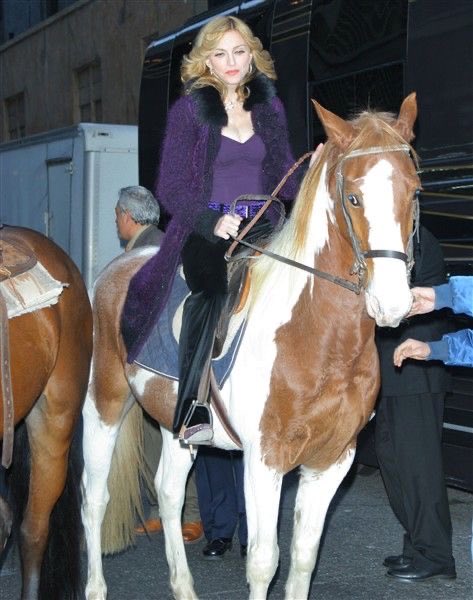 MadameXvideos's tweet photo. Madonna serving face and getting back on a horse for the first time after injury on David Letterman (2005) https://t.co/BUgXgBIMDO