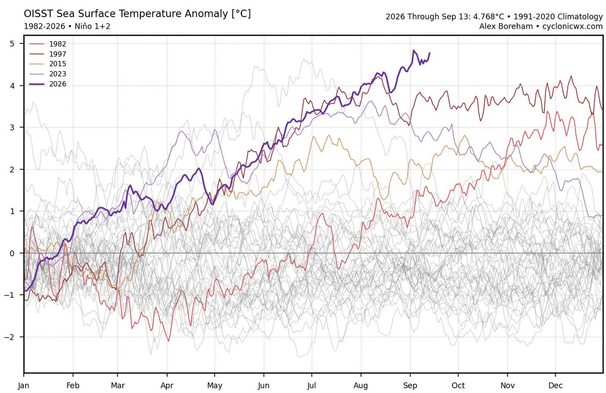 Mario___Ramirez's tweet photo. 14/09/26 #ElNiño Costero #Región1+2
Pacífico ecuatorial oriental #TSM #ATSM
- Magnitud: #Extraordinario
#CRW +4.91°C #OISST +4.77°C
#Calentamiento progresivo incremento
se mantiene.
#ElNiño costero 2026-27 es superior
a sus eventos analogos https://t.co/S8NAr5tQXl