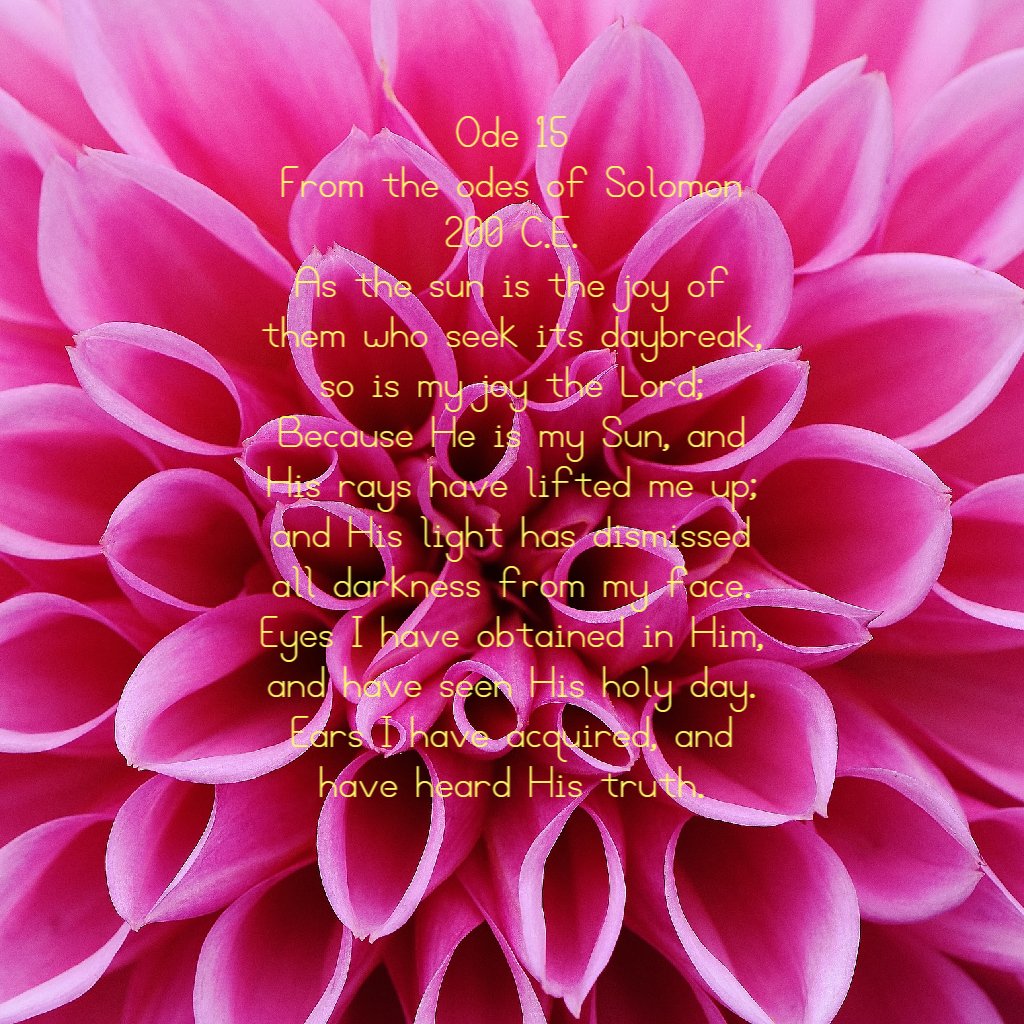 GhostThe50178's tweet photo. @venture2victory https://t.co/Ol26VGVqDU
π #FREE TODAY!π©΄#FREE TODAY!π #FREE TODAY!π©΄135 Inspired Odes, Dreams, Romantic Notions, and #OrganicPoetry. Beautiful Places, Sad Memories, Glorious Food, and Desolate Worlds! #MakeKindnessGreatAgain #PoetryNation #ReadingForFree #BooksWorthReading https://t.co/LBXz6PVQZv