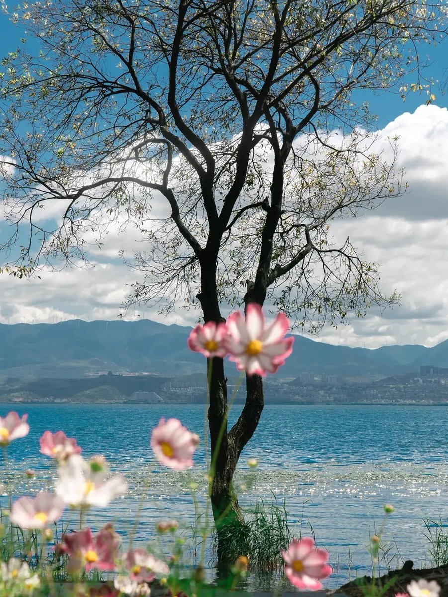 Goldenhourfeel's tweet photo. You found the kind of peace you can't put in your word's https://t.co/izi6VKmORo