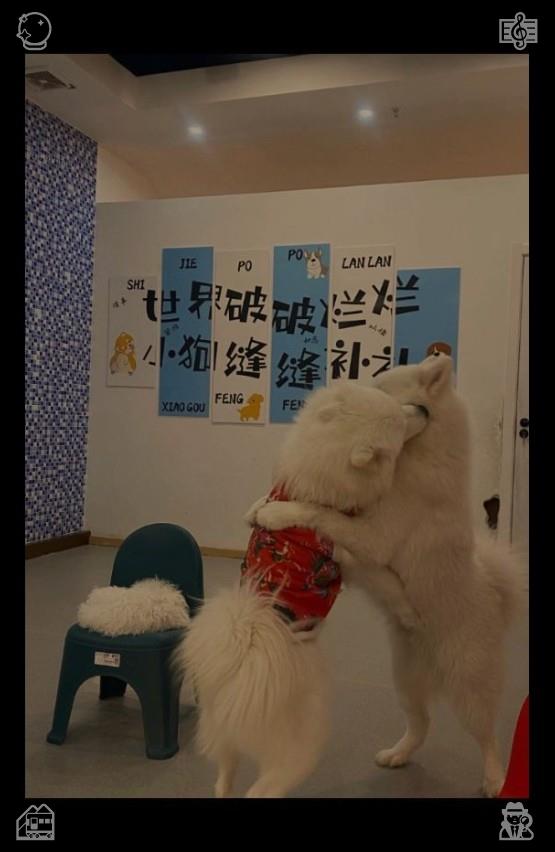 bunnytii's tweet photo. We constantly refine our technical motions, fixing poor habits and striving for more standardized, reliable, and effective ways of playing.🍁A seemingly ordinary day yields remarkable outcomes — all due to dedicated effort! https://t.co/iR2veuW7cx