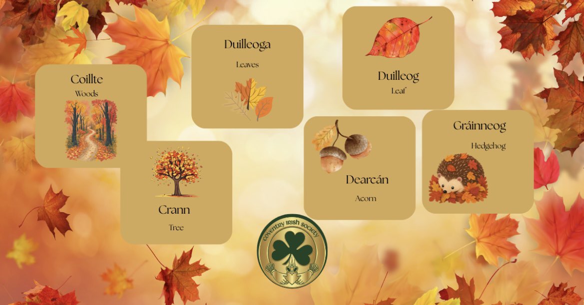 CoventryIrish's tweet photo. 🍁🍂 Autumn is here! 🍂🍁 

Learn some seasonal vocabulary, in Irish, with the third part of our #GaeilgeOnTheGo flashcards. 

#AnFómhar #Autumn #Gaeilge #GaeilgeGachLá #LearnIrish #IrishLanguage #IrishInCoventry #CoventryIrish #CoventryIrishSociety https://t.co/5NXWBdAW9j
