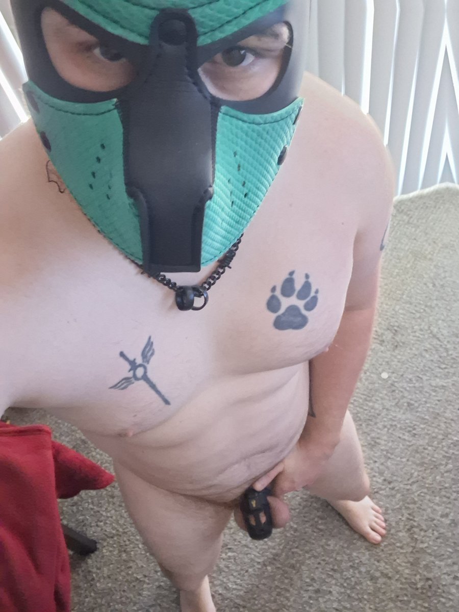 Cyy4yh's tweet photo. So I lost a bet... so here we go

Chastity Challenge

Every:
Like = 1 day
Comment = 2 days (max 4)
Follow = 4 days
Share = 2 days

This is going to go for 4 days. Starting at 0 everything https://t.co/FkYSkZZm8K
