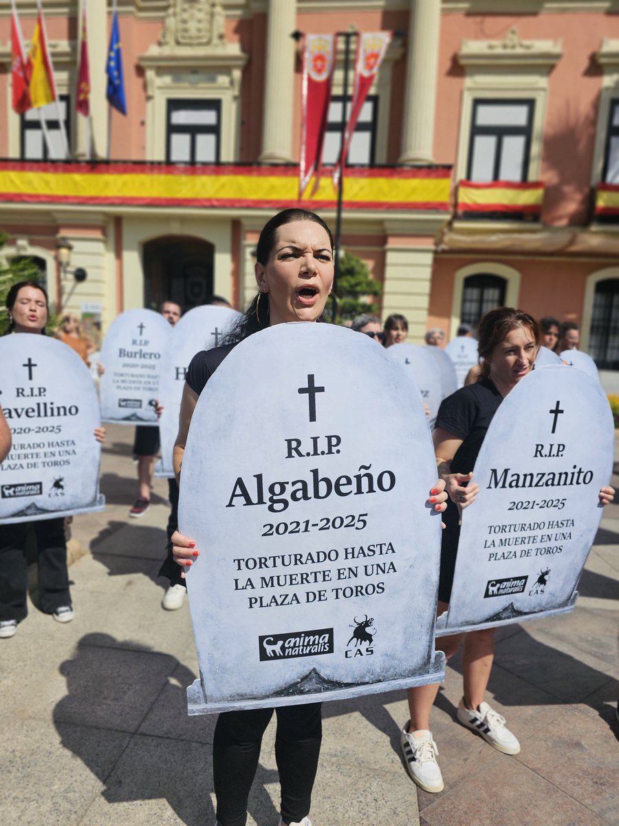 AnimaNaturalis's tweet photo. 📍 MURCIA | Ayer, más de medio centenar de activistas cargamos lápidas con nombres de toros frente al ayuntamiento de Murcia.

🐂 🪦 Neblinero. Lagartijo. Olivero. Nombres, vidas y muertes que la tauromaquia prefiere convertir en cifras.

Ayer les devolvimos su nombre. 👇 https://t.co/4akVUJoDRx