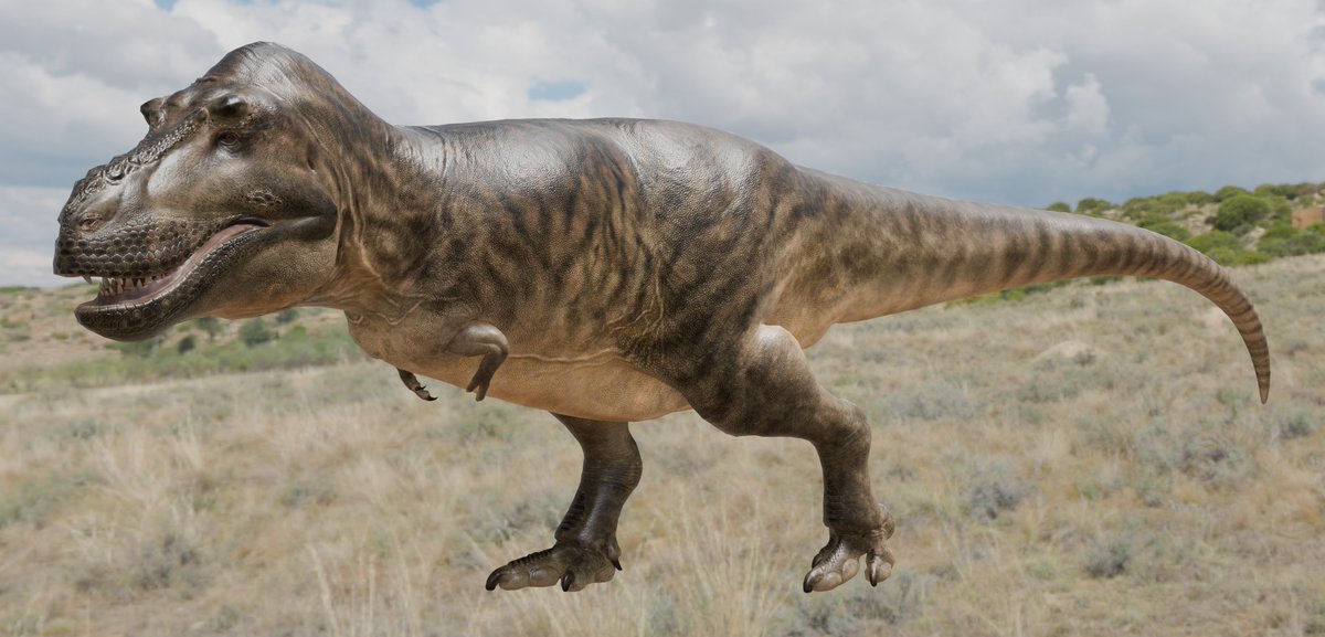 GvkTheGoober's tweet photo. Tyrannosaurus Rex Stan #paleoart #blender https://t.co/xLzt9ximqo