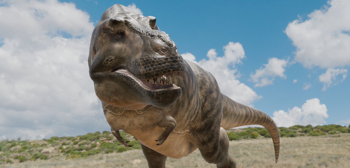 GvkTheGoober's tweet photo. Tyrannosaurus Rex Stan #paleoart #blender https://t.co/xLzt9ximqo