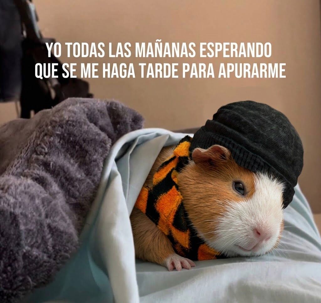 flanchota's tweet photo. https://t.co/wnRiChEerx