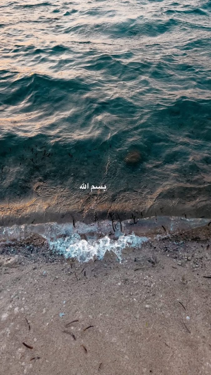 FajrCoded's tweet photo. https://t.co/25wMMKiNxf