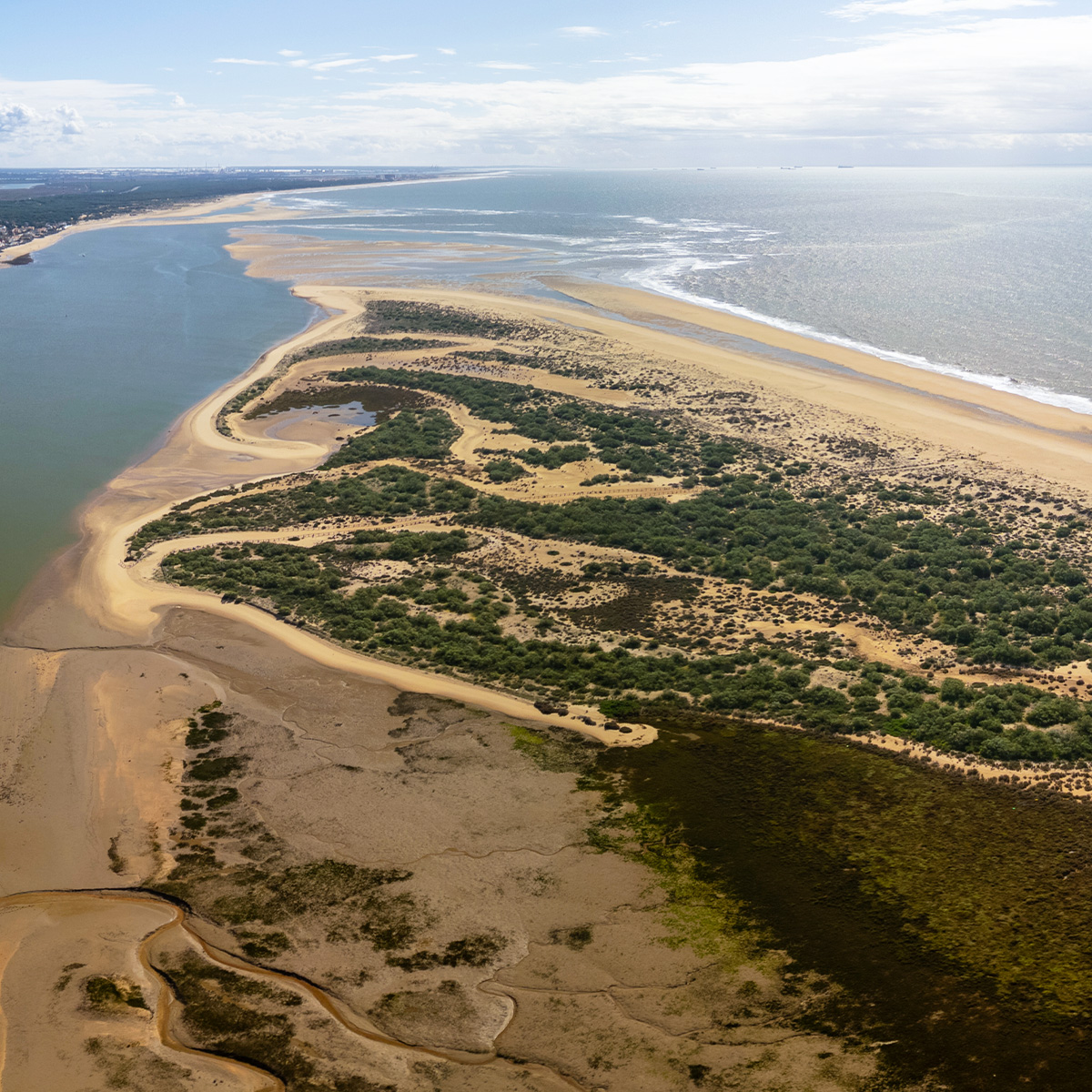 destinohuelva's tweet photo. A veces no necesitas ir muy lejos para encontrar lo que buscas. Solo tienes que mirar al horizonte, dejar que la brisa del Atlántico te envuelva y permitirte parar 💙 https://t.co/OiRvj56wS0