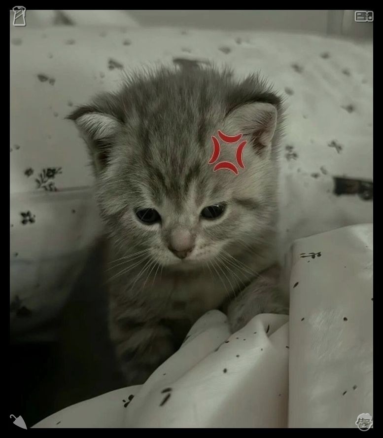 klebercap tweet picture
