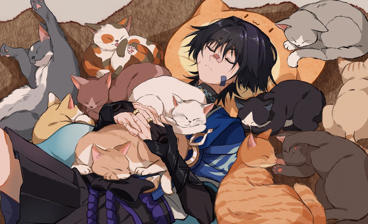 dintoge's tweet photo. 🐱🐱🐱🐱🐱🐱🐱🐱🐱 https://t.co/sQcQcHAdAK