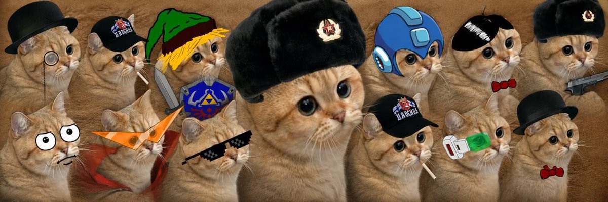 wearetheretail's tweet photo. okay this is some huge lore,

did you know that the original Catecoin is called Starecat, aka Helia.

If you google the word ''Cate on know your meme'' you will get the original Catecoin

https://t.co/EMTknLxhVF

However, that is only a derivative of the original meme Starecat, and the cat is actually called Helia.

Proof:
https://t.co/Vz1e2a2sus

I will be launching this pairing it with Dogecoin, since it is the actual beta play if you think about it.