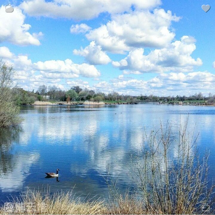ma82sta's tweet photo. If all your plans crumble and everything falls apart, take a short pause, then realign your priorities and begin chasing success again with greater clarity and smarter choices. Video Game with Friend The friend is active🐒 https://t.co/ZkqbvoybQj