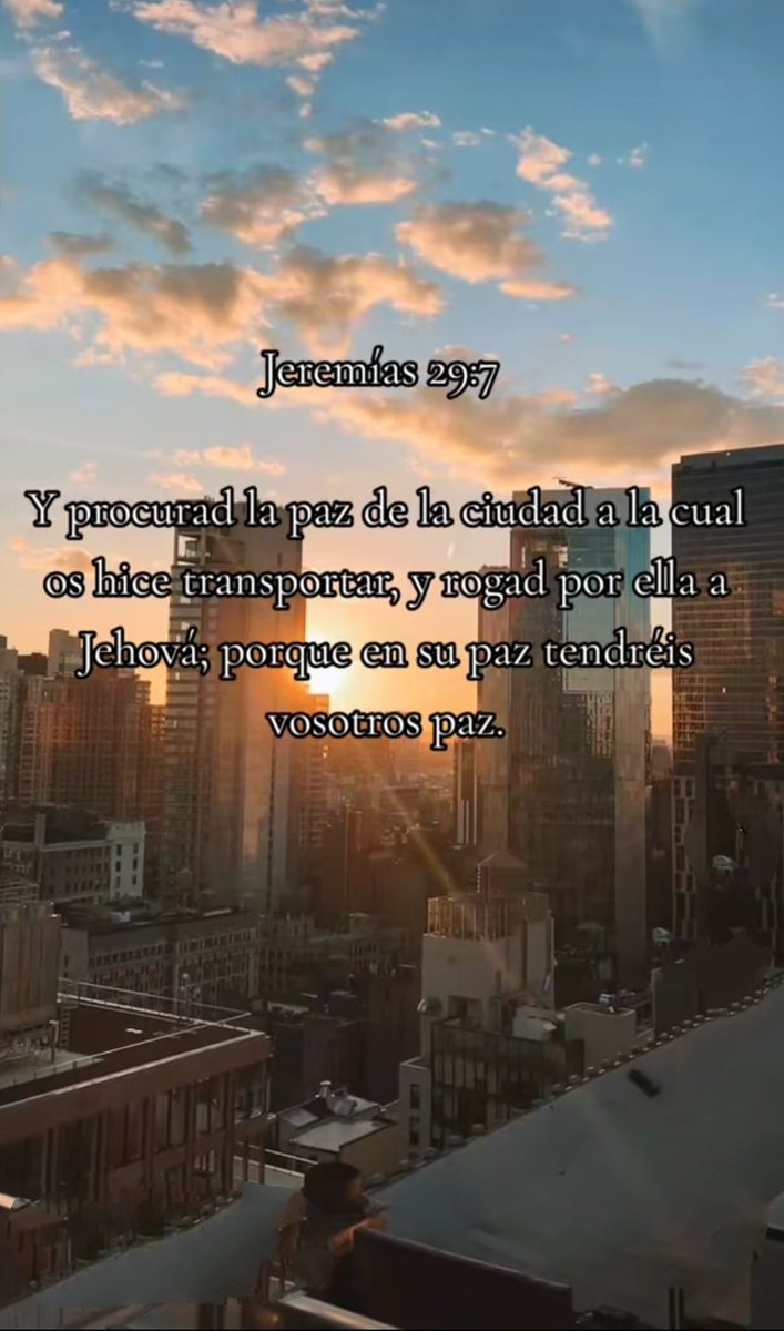 StevenNS16's tweet photo. Buscar el bienestar y orar por la ciudad donde estamos nos transforma en agentes de paz; la prosperidad de nuestra comunidad es también la nuestra.

#Jeremias297 #BienestarYPaz #FeEnAccion #OracionPorLaCiudad #ProsperidadCompartida https://t.co/nHSV5TbZGs