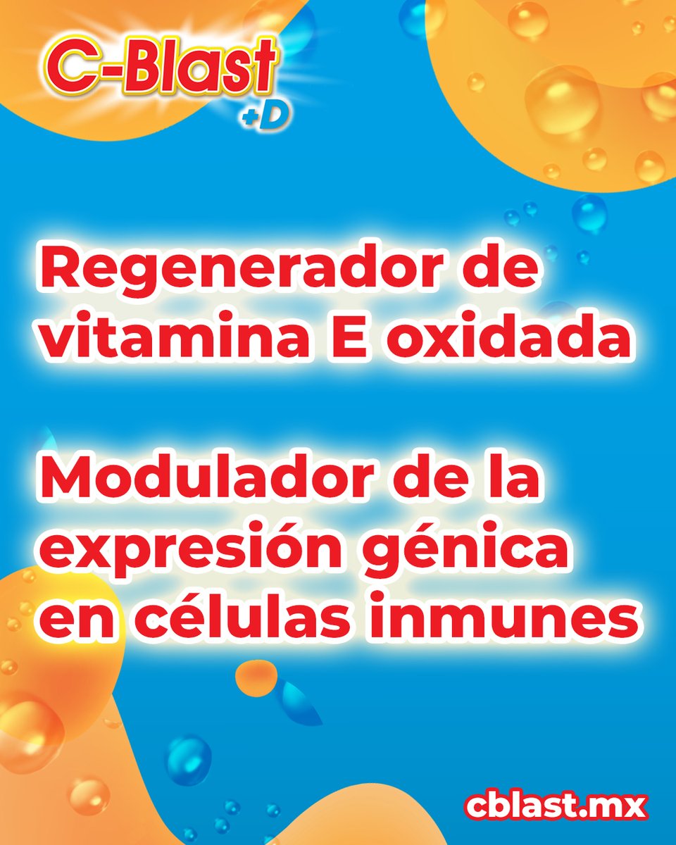 c_blastmx's tweet photo. La mayoría conoce la vitamina C por los resfriados. Pero su rol en el cuerpo va mucho más profundo. 🔬

Todo eso. En polvo. En tu vaso de cada mañana.
3 cajas por $180 → https://t.co/yGYJwhkQFs 🇲🇽

#vitaminaC #suplementoalimenticio #salud #cblast https://t.co/8EOrK0owIK