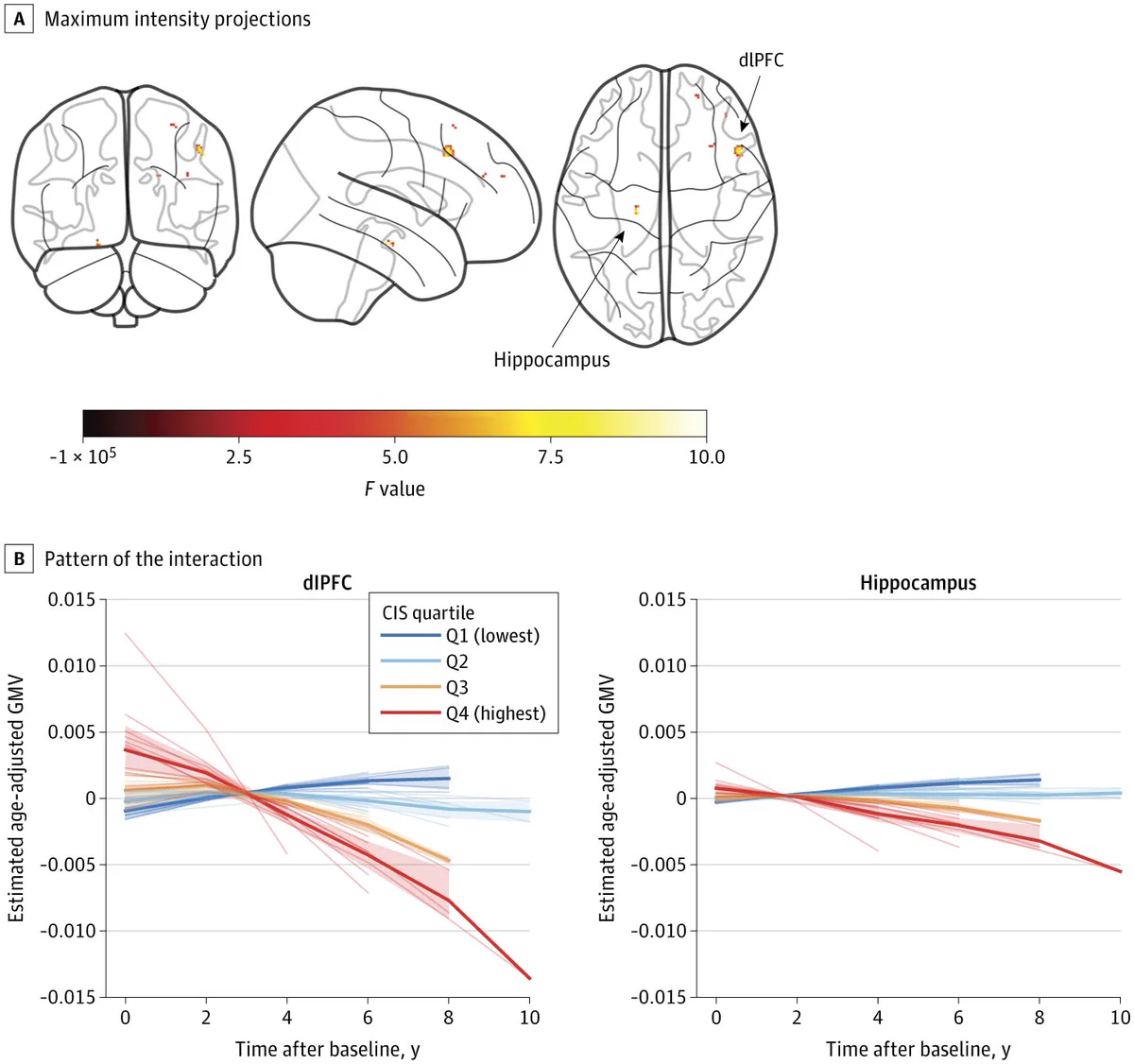 Brain scans highlight dLPFC & Hippocampus. Two graphs show estimated age-adjusted GMV over 10 years by CIS quartile. For both regions, the highest CIS quartile (Q4) exhibits a marked decline in GMV, while lower quartiles remain stable.