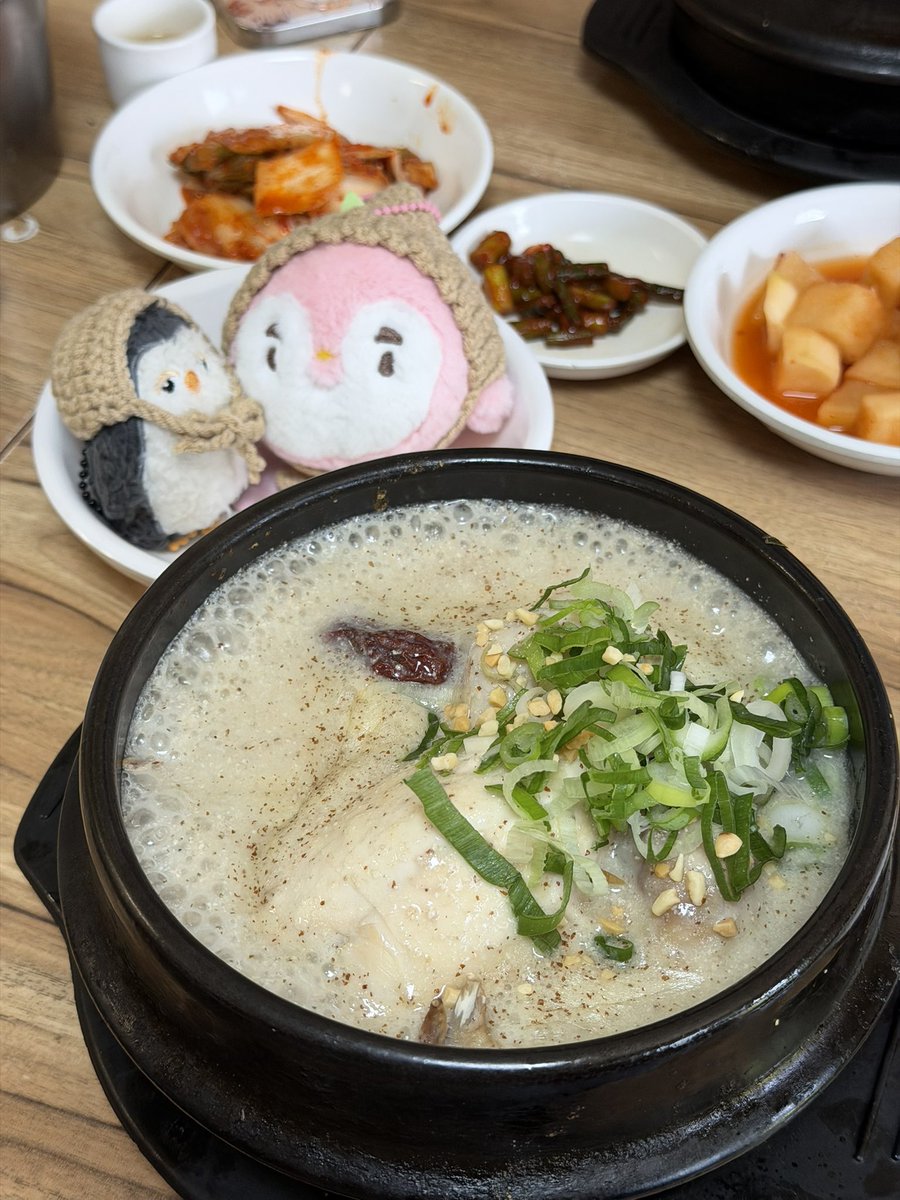 jujusmemoirs's tweet photo. ไปอีสไก่ตุ๋นตามคยองซู 🍲

🐧 รสชาติเชงๆ นัวๆ อร่อย เนื้อไก่ตุ๋นมาเปื่อยมาก ไม่ต้องออกแรงเลาะ มีข้าวอยู่ในตัวไก่ กินเนื้อไก่คู่กับกิมจิของทางร้านจะตัดเลี่ยนได้ดีมากกกก 
🤍 ความน่ารักคือพนงที่ร้านน่าจะเห็นตุ๊กตา เลยมาถามว่า D.O. Fans? แล้วก็เอาสไปร์ทกับขนมมาให้ฟรี บอกว่า gifts for D.O. Fan 🥹🫶🏻 ทับใจคูนล้านไปเรยย

พิกัด [NAVER Maps]
Yongsan Samgyetang
Seoul Yongsan-gu 2(i)-ga 84-1
https://t.co/0pBdD5j6oS

#DOHKYUNGSOO #도경수