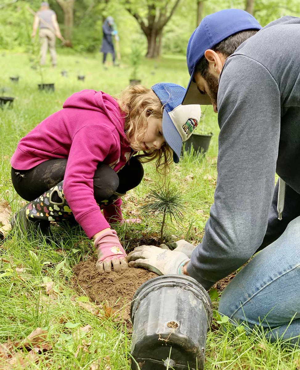 RideauValleyCA's tweet photo. No green thumb required!  🌱 Help plant 150 trees at Darou Farm in Perth this Saturday, September 19 from 10 a.m. to noon. 
Get more details and register at visit https://t.co/xsus1jdbPF
#TDTreeDays #TreePlanting #RideauValley https://t.co/c4dXSOzm6k