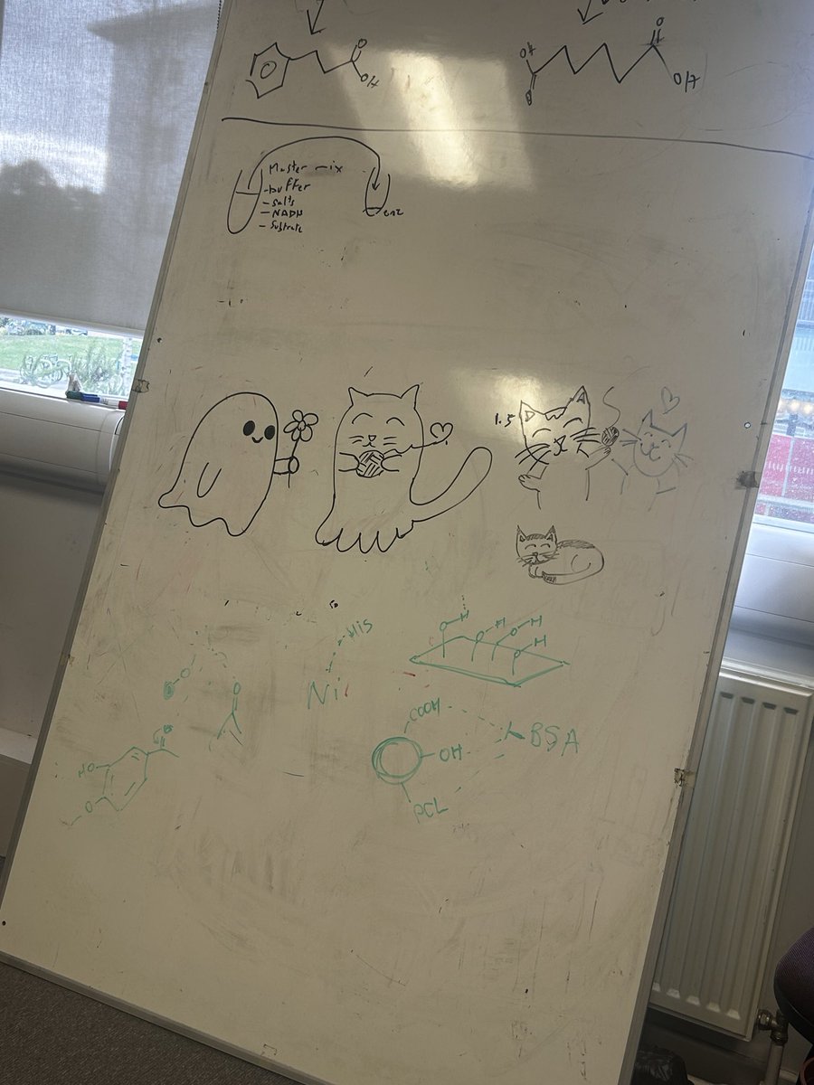 WillPVGreen's tweet photo. The correct mix of chemistry and doodles on the lab whiteboard I think https://t.co/uMUCWzQRHe