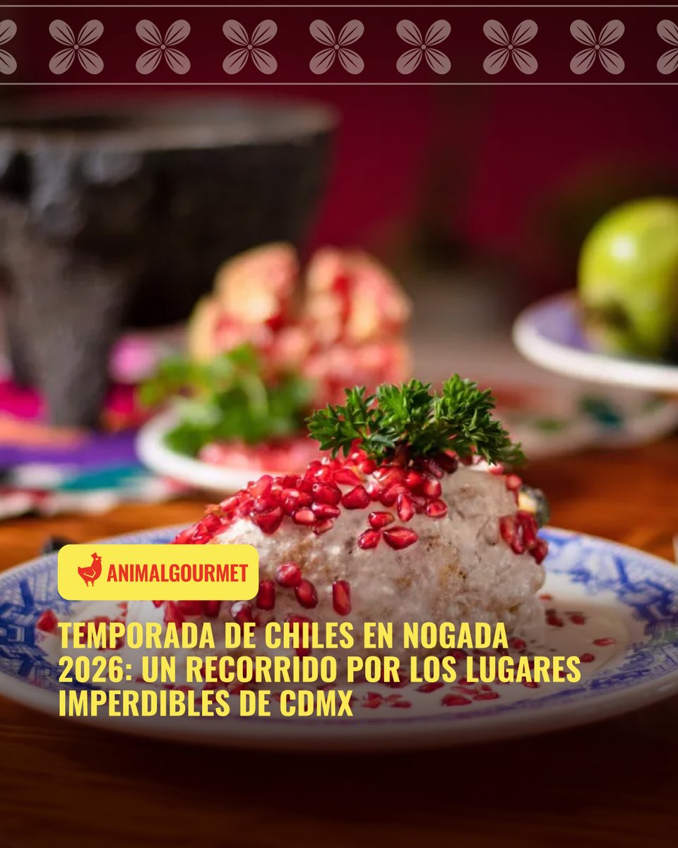 animalgourmet's tweet photo. 🇲🇽 ✨️ ¡¿Qué vamos a comer el 15?! 👀 Lánzate a alguno de estos lugares en la CDMX y pide un exquisito chile en nogada ¡no te vas a arrepentir! 🫑

https://t.co/KyfqPorYeN

#Animalgourmet #ChileenNogada #15deseptiembre #CDMX https://t.co/sw1JBlgk0U