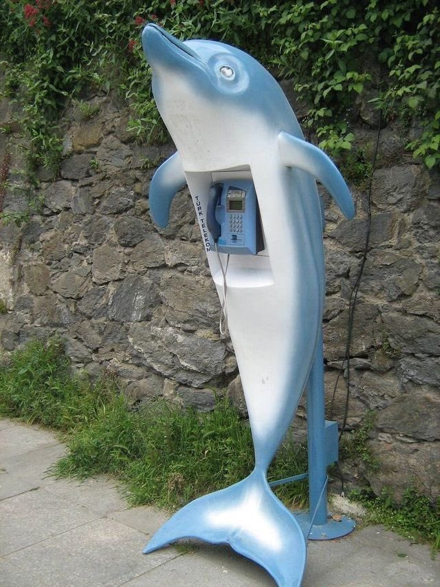 JamrockHobo's tweet photo. Imagine being broken up with on the dolphone https://t.co/ZwB0Wokdpz