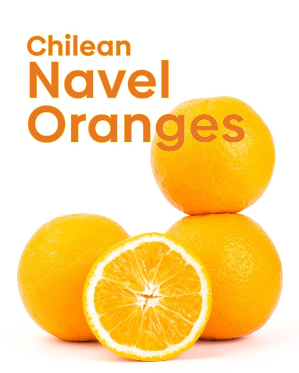 FruitsfromChile's tweet photo. Pack a little sunshine with lunch. Sweet Chilean navel orange segments are an easy way to add freshness and color to lunchboxes. Pair them with sandwiches, grain bowls, salads, or your favorite snacks for a lunch that's as bright as it is delicious. https://t.co/DFH38reme9