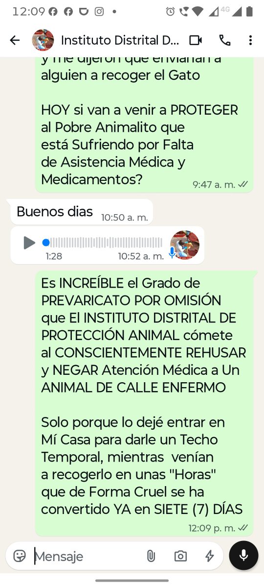 VDiplomaticos's tweet photo. @AnimalesBOG @FiscaliaCol @Bogota @AHLLAMAS @PGN_COL
@FiscaliaCol
@Bogota
@CarlosFGalan
@clarasandoval
Hace YA 12 días un Vecino me trajo un GATO de CALLE

Llamé al 123 y ellos al INSTITUTO DISTRITAL DE PROTECCIÓN ANIMAL

Es OBVIO que REQUIERE TRATAMIENTO MÉDICO 

Pero, NO han querido venir x ÉL 😿

PREVARICATO POR OMISIÓN https://t.co/VG0KYmtOFM