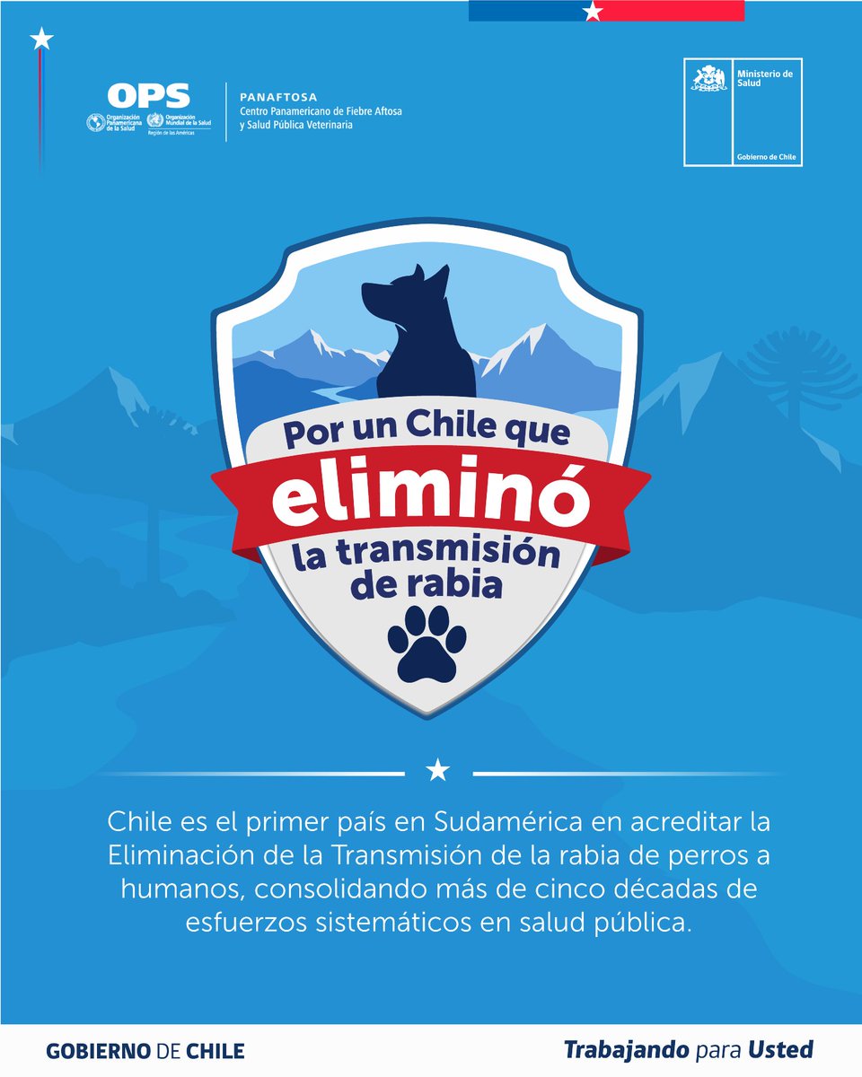 ministeriosalud's tweet photo. Chile se convirtió en el primer país de Sudamérica en erradicar la transmisión de rabia de perros a humanos 👏🐶

La validación formal fue entregada por la OPS/OMS y constituye un reconocimiento a una larga trayectoria en la prevención y el control de la rabia. https://t.co/W3zXNFtASu