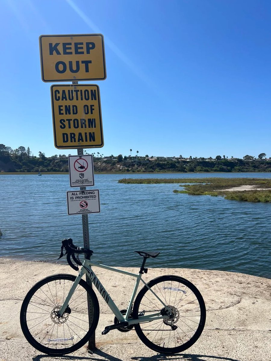 Kedmovtrn's tweet photo. Ride to the end of the main road and see the sea and wetlands https://t.co/hUU3M2kDdi