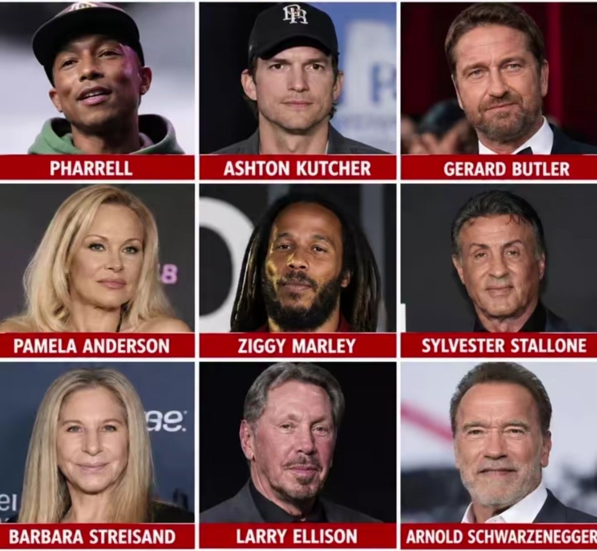 Malcolm_Pal9's tweet photo. 9 Hollywood stars who have fundraised for the 🇮🇱Israeli military (IDF).

Heroes on the screen, but when it comes to real life, not so heroic. https://t.co/TKIZw0iwp8