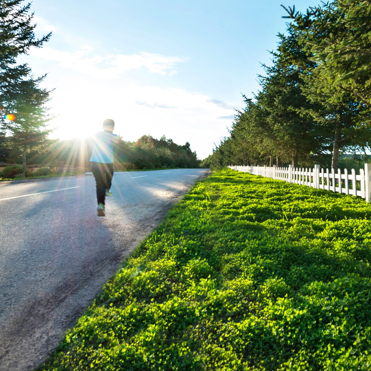 AbbeyPoehlman's tweet photo. Just got that warm post-run glow—sun on skin, legs humming, and a little extra bounce in my step today ， https://t.co/SLuUF7suoX