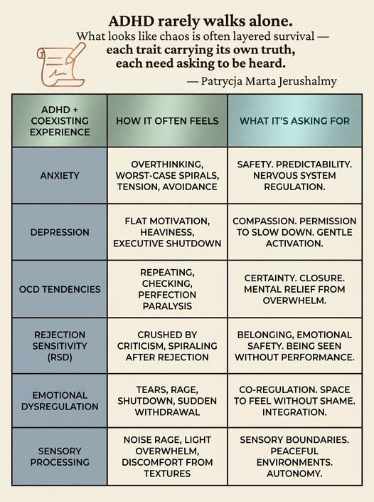 woofknight's tweet photo. I really struggle with Rejection Sensitivity Dysphoria. A lot comes from years of bullying in the 8 years I was in a Catholic grade school. I was diagnosed with ADHD (at least) in first grade. I really struggle with feeling good enough/worthy and don't know how to deal with something good happening. I always expect something bad to happen after