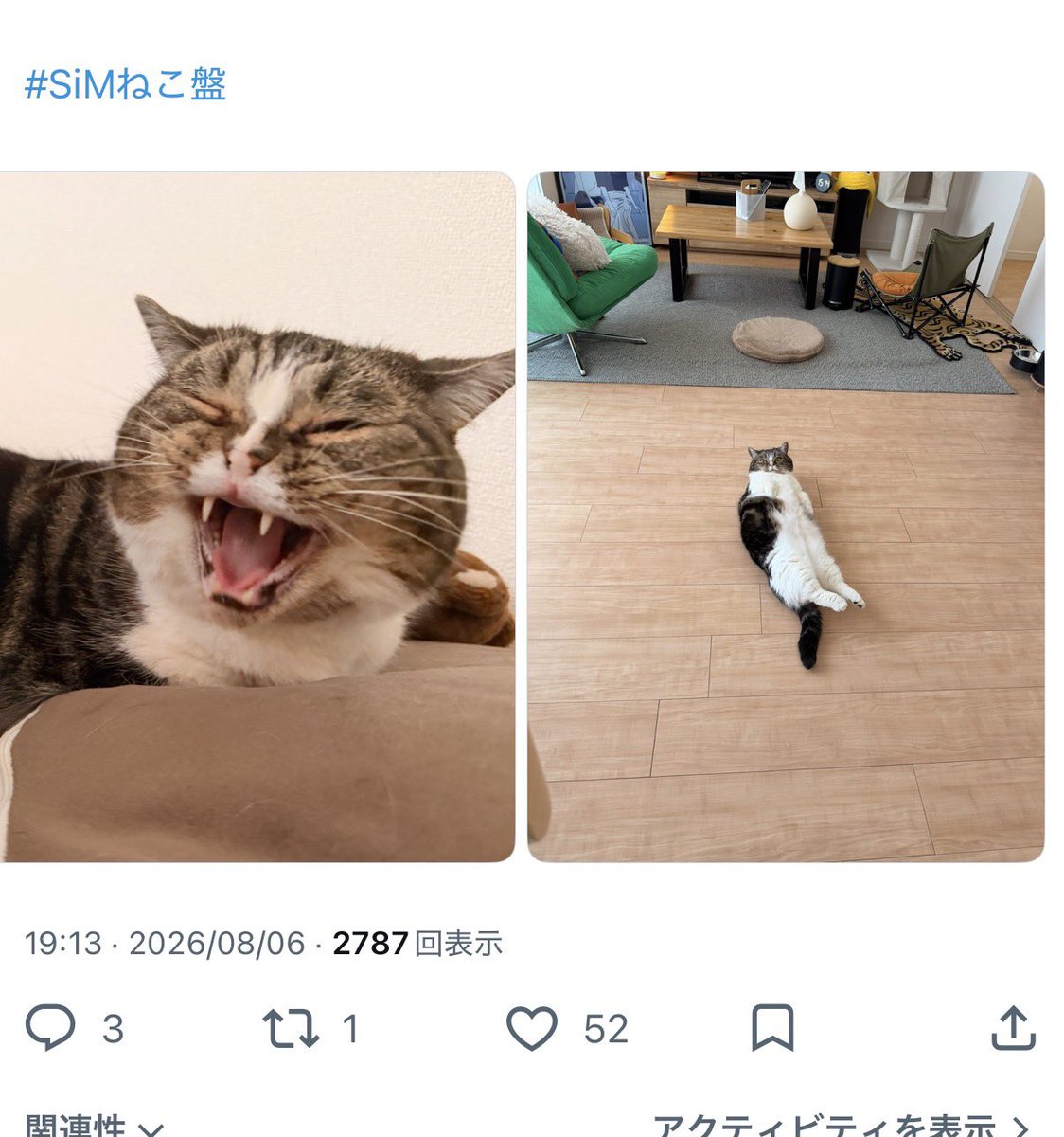 nm_cb_'s tweet photo. 画像お借りしました🙇‍♀️
飼い主垢の方で応募した写真が選ばれた〜！！！！！！
MAHさん選んでくれてありがとうございます🐈サイコー https://t.co/MzWiUGzb1j