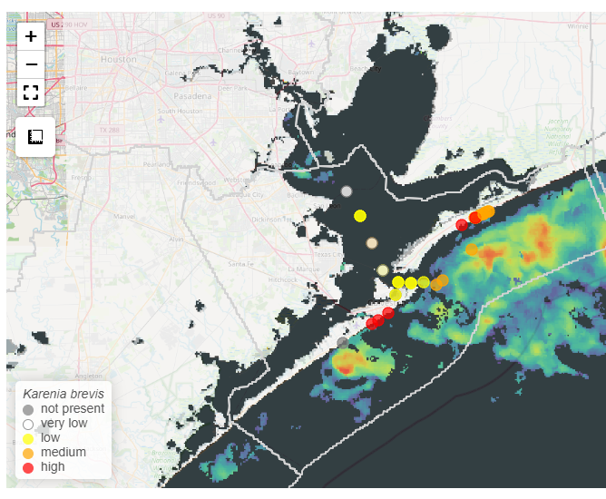 noaacoastalsci's tweet photo. Water samples collected on Bolivar Peninsula, Crystal Beach, and Galveston Island, Texas from Sep 6-13 have detected red tide (caused by Karenia brevis). We are predicting a HIGH risk of respiratory irritation in Galveston County over the next 36 hours. https://t.co/KmqqoFqvIv https://t.co/n0CvOY4eId