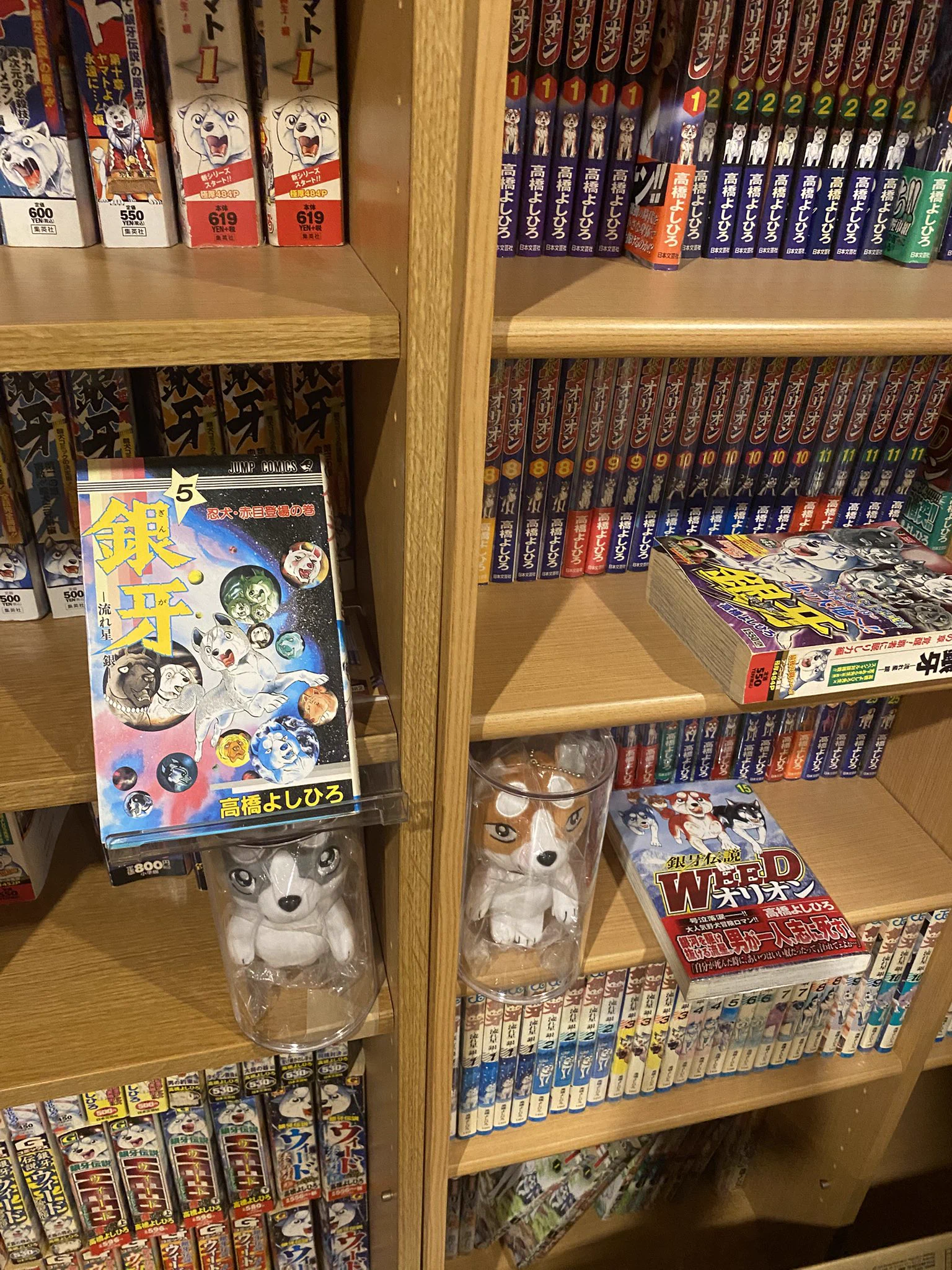 🌌高橋よしひろ先生新連載🌌銀牙伝説レクイエム🌌 على X: 
