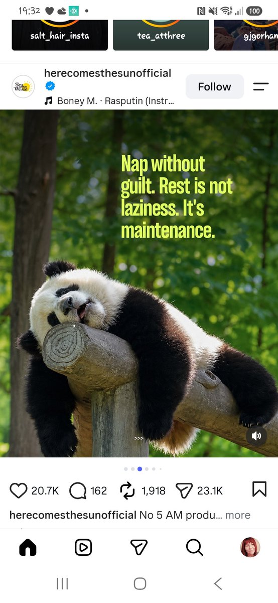 Melanie21843174's tweet photo. #bemorepanda
My spiritual animal πΌ https://t.co/trERrHpOqF